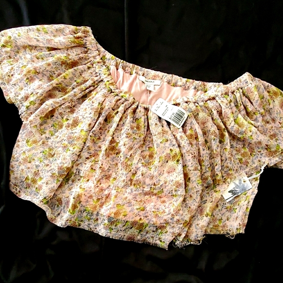 Forever 21 Tops - NWT Forever 21 Chiffon Crop Top